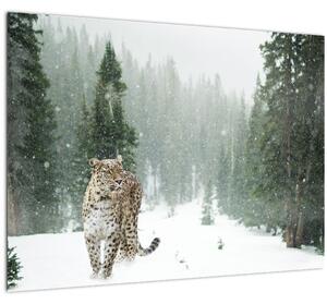 Sklenený obraz leoparda v snehu (70x50 cm)