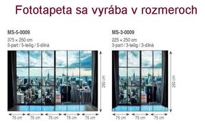 Dimex fototapeta MS-5-0009 Manhattan z okna 375 x 250 cm
