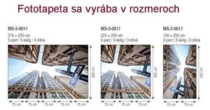 Dimex fototapeta MS-3-0011 Broadway mrakodrapy 225 x 250 cm