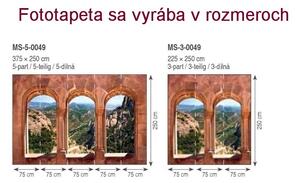 Dimex fototapeta MS-3-0049 Pohľad z okna 225 x 250 cm