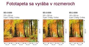Dimex fototapeta MS-5-0099 Jesenný les 375 x 250 cm