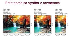 Dimex fototapeta MS-5-0083 Vodopád v lese 375 x 250 cm