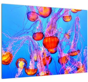 Sklenený obraz medúz v mori (70x50 cm)