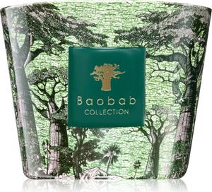 Baobab Collection Sacred Trees Touba vonná sviečka 500 g