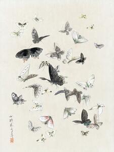 Umelecká tlač Butterflies & Moths (1 of 2) - Katsushika Hokusai, (30 x 40 cm)