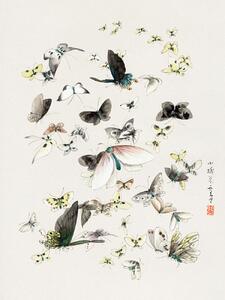 Umelecká tlač Butterflies & Moths (2 of 2) - Katsushika Hokusai, (30 x 40 cm)