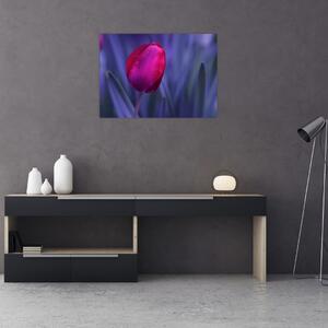 Sklenený obraz pupete tulipánu (70x50 cm)