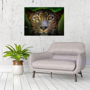Sklenený obraz - Portrét leoparda, Sri Lanka (70x50 cm)