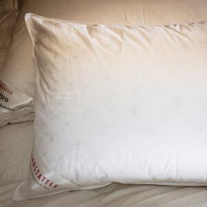 Kamýk Daunen Páperový vankúš Cannstatter Pillow Premium – husacie páperie Bavlna de luxe 70x90 cm