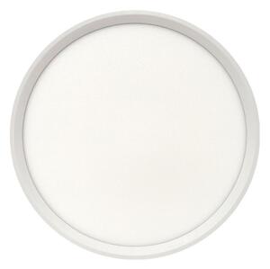 LED stropné svietidlo LED/24W/230V 3000/4000/6500K pr. 30 cm biela
