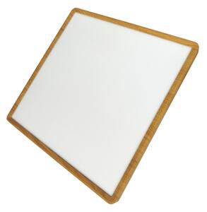 LED stropné svietidlo LED/40W/230V 3000/4000/6500K 50x50 cm béžové