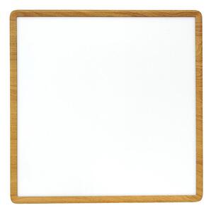 LED stropné svietidlo LED/40W/230V 3000/4000/6500K 50x50 cm béžové
