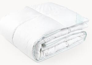 Páperový paplón Comfort, extra hrejivý