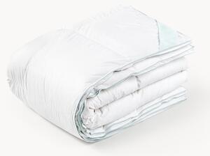 Páperový paplón Comfort, extra hrejivý