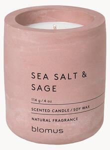 Vonná sviečka Fraga (Sea Salt & Sage)