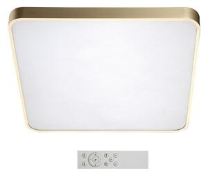 Azzardo AZ2760 - Stmievateľné LED stropné svietidlo QUADRO LED/60W/230V+ DO