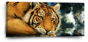Sablio Obraz tiger - 110x50 cm