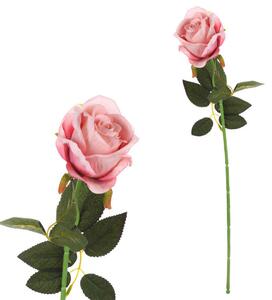 RUŽA - Kvety & kvetináče