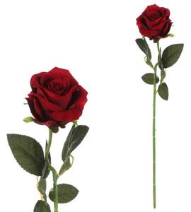 RUŽA 52 cm - Kvety & kvetináče