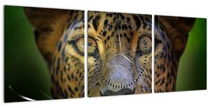 Obraz - Portrét leoparda, Sri Lanka (s hodinami) (90x30 cm)