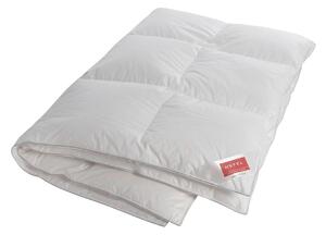 PÁPEROVÁ PRIKRÝVKA, 140/200 cm, perie, páperie Hefel Textil - Prikrývky & vankúše