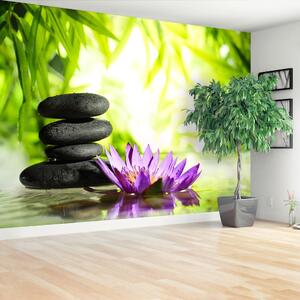 Fototapeta Vliesová Lotos a zen kameň 104x70 cm
