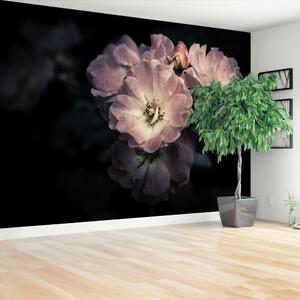 Fototapeta Vliesová Ružová ruža 152x104 cm