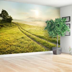 Fototapeta Vliesová Lúka a východ slnka 152x104 cm