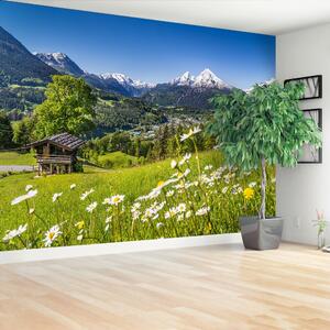 Fototapeta Vliesová Bavorsko hory 152x104 cm