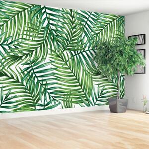 Fototapeta Vliesová Palmové listy 104x70 cm