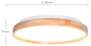 Brilagi - LED stlmiteľné stropné svietidlo ALSON LED/48W/230V 3000-6500K + DO