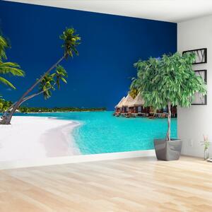 Fototapeta Vliesová Palm beach 104x70 cm