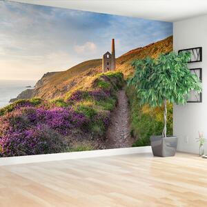 Fototapeta Vliesová Pobrežie cornwallu 250x104 cm