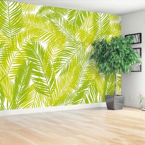 Fototapeta Vliesová Palmové listy 104x70 cm