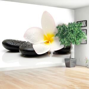 Fototapeta Vliesová Plumeria stones 104x70 cm