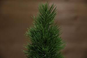 Dekoračný vianočný stromček borovica v jute 33cm