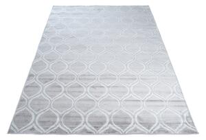 TA Sivý moderný koberec Wild Rozmer: 170x120 cm