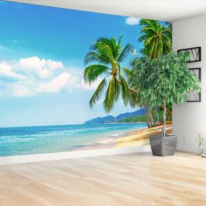 Fototapeta Vliesová Palm beach 104x70 cm