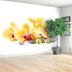 Fototapeta Vliesová Žltá orchidea 104x70 cm