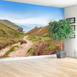 Fototapeta Vliesová Atlantik cornwall 250x104 cm