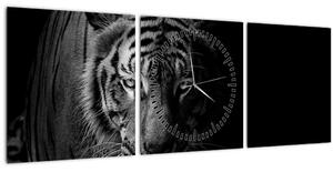 Obraz divokého tigra (s hodinami) (90x30 cm)