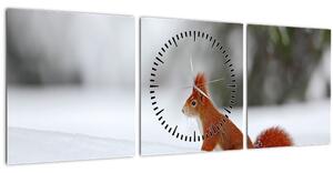 Obraz veveričky (s hodinami) (90x30 cm)