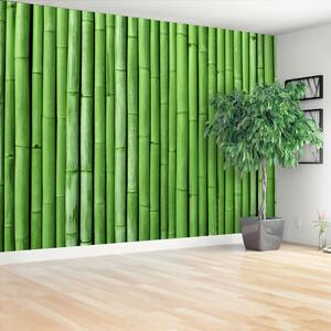 Fototapeta Vliesová Bambusová zelená 104x70 cm