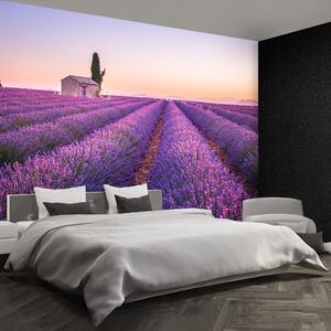 Fototapeta Vliesová Provence levandule 104x70 cm