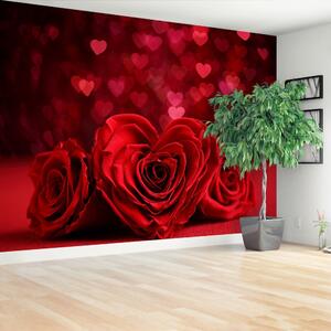 Fototapeta Vliesová Ruže srdce 104x70 cm