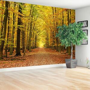 Fototapeta Vliesová Jesenná alej 104x70 cm