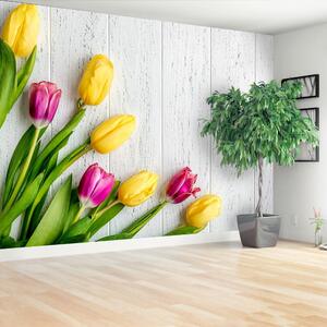 Fototapeta Vliesová Žlté tulipány 104x70 cm