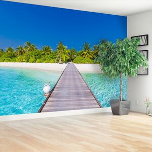 Fototapeta Vliesová Palm beach 250x104 cm