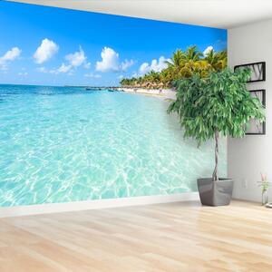 Fototapeta Vliesová Mayská riviéra 250x104 cm