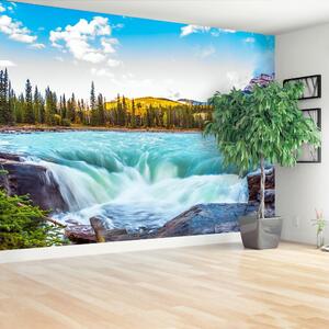 Fototapeta Vliesová Park jasper 152x104 cm